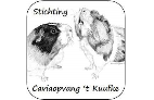 Stichting Stichting Caviaopvang 't Kuufke