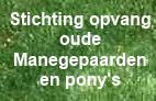 Stichting Opvang Oude Manegepaarden en -pony's in Friesland