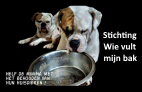 stichting wie vult mijn bak