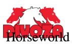 Divoza